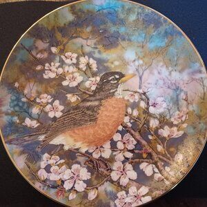 Songbirds of the South American Robin Wall plate
